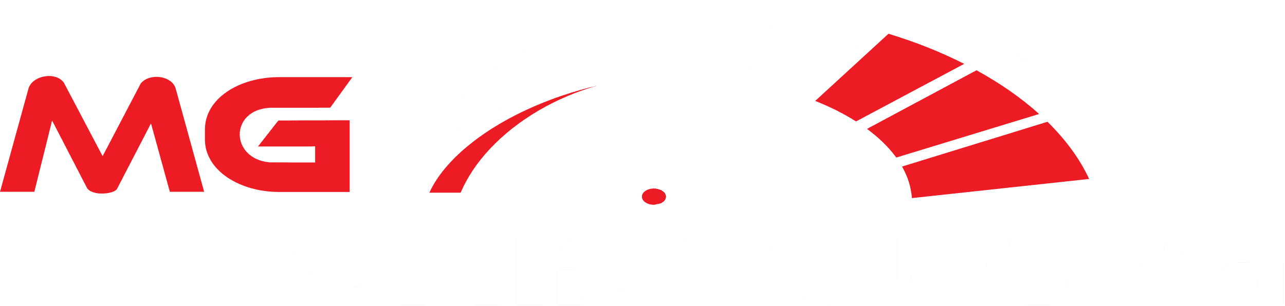 MG Chiptuning ECU Engine Computer Unit