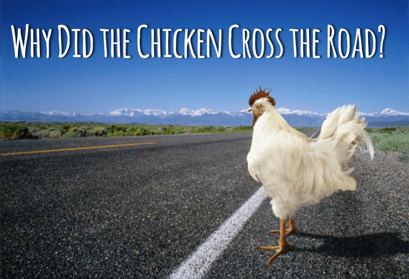 Chicken road oficial in Spain
